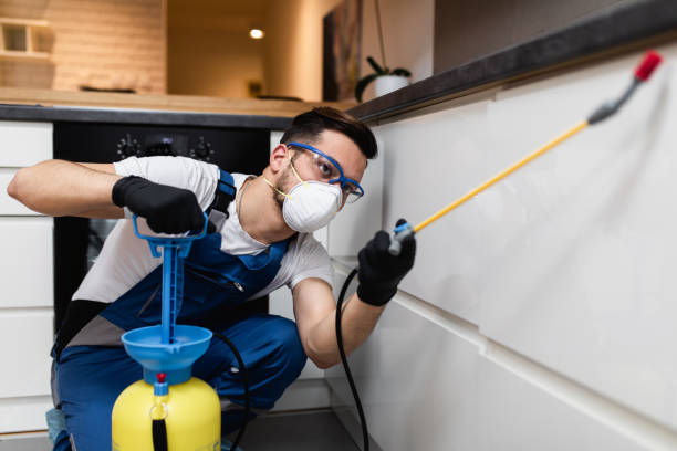 Trusted North Druid Hills, GA Pest Control Experts
