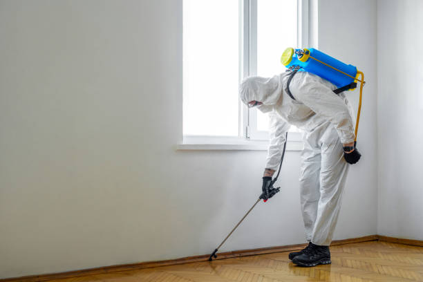 Best Best Pest Control Companies  in North Druid Hills, GA
