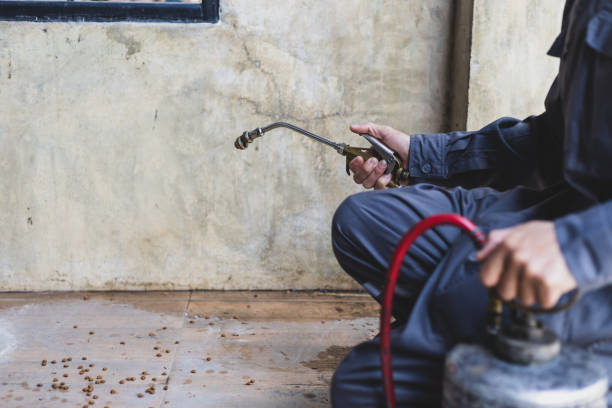 Wasp Removal Services in North Druid Hills, GA
