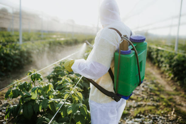 Insect Control in North Druid Hills, GA